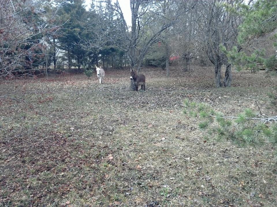 Photo of Outdoor in La Mure Argens