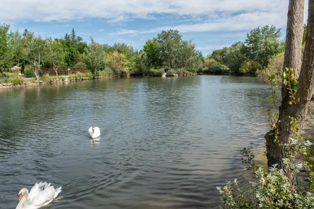 Photo of Others in Saint-Saturnin-les-Avignon