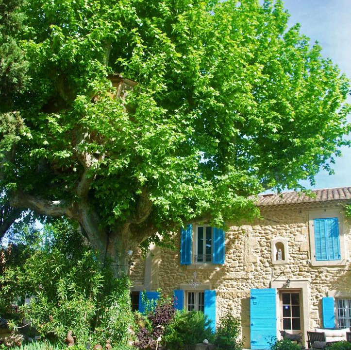 Photo of Others in Salon-de-Provence