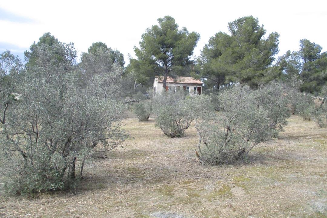 Photo of Others in Mouries