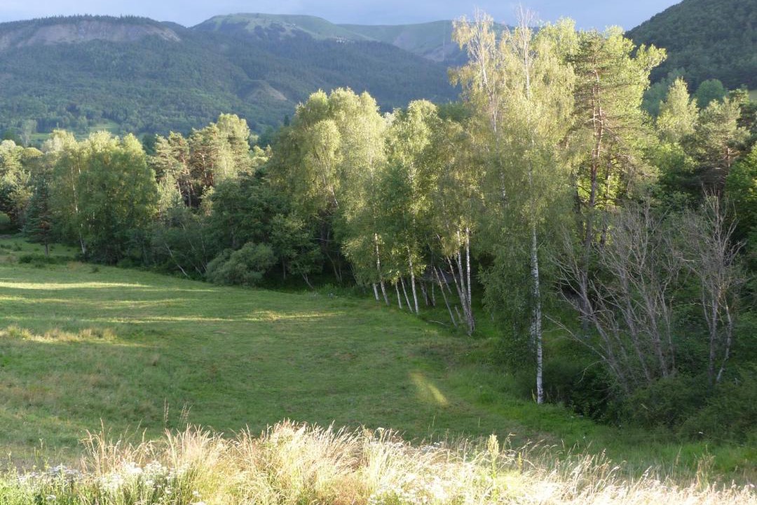 Photo of Others in Selonnet