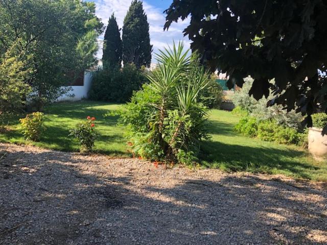 Photo of Others in Tarascon