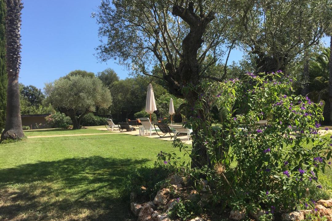 Photo of Others in Ramatuelle