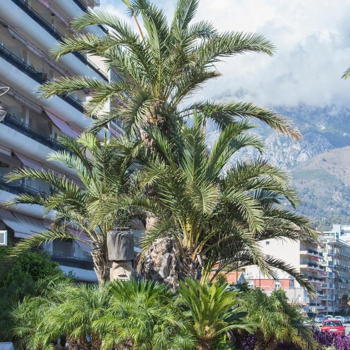 Photo of Others in Roquebrune-Cap-Martin