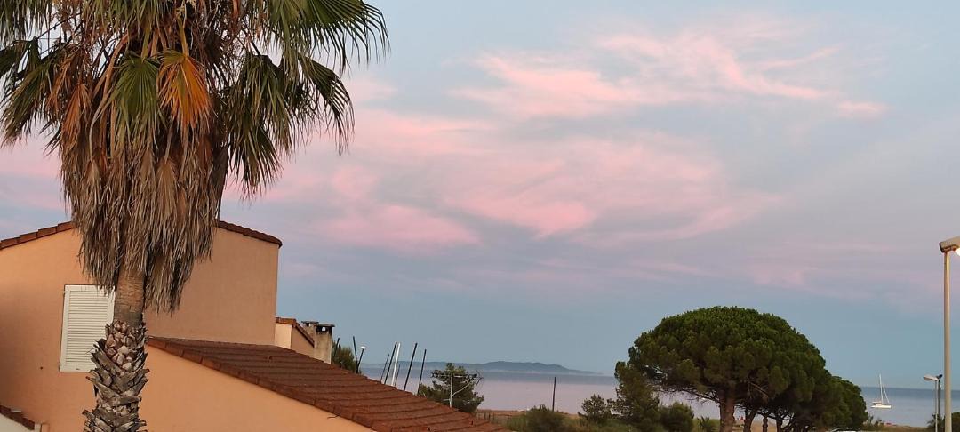 Photo of Others in Hyeres