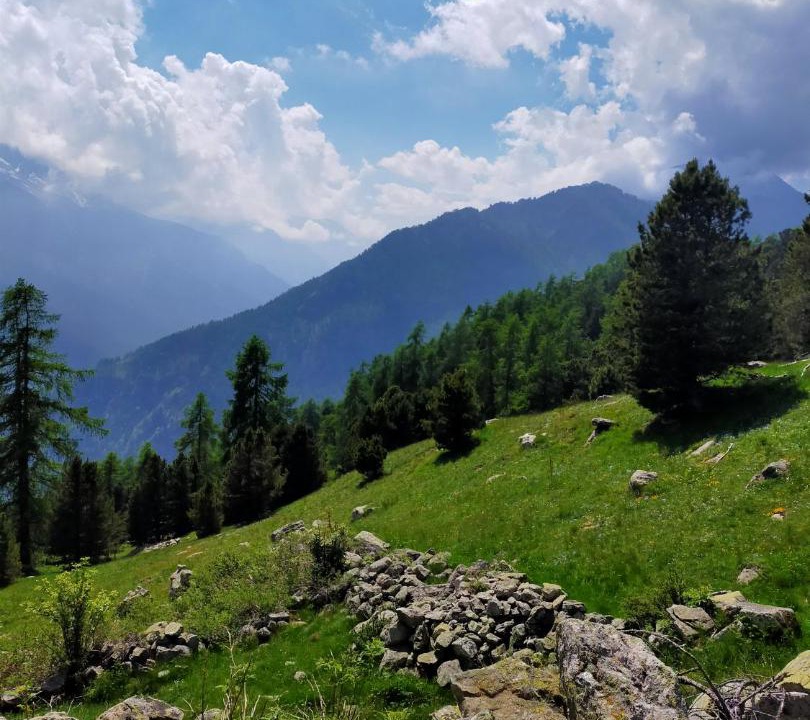 Photo of Others in Casteldelfino