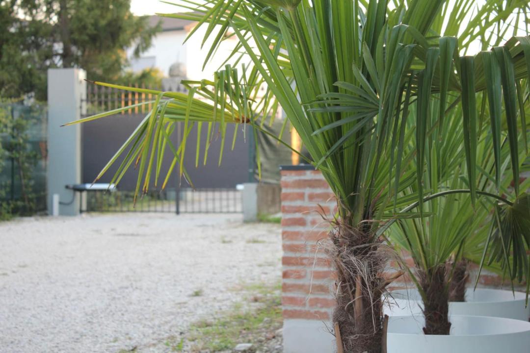 Photo of Others in Vicenza
