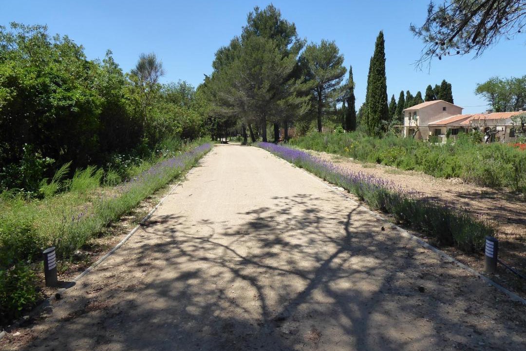 Photo of Others in St.-Remy-de-Provence