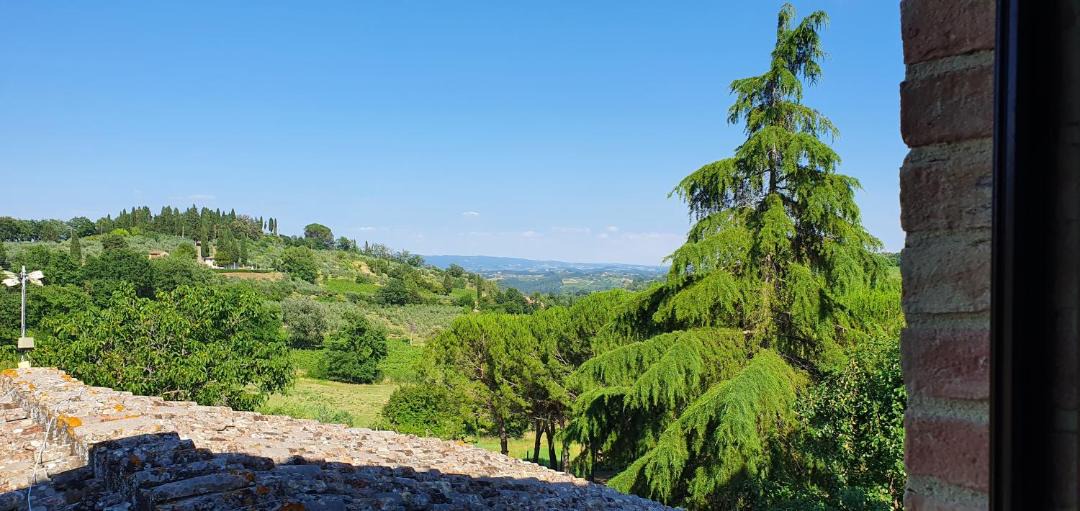 Photo of Others in San Gimignano