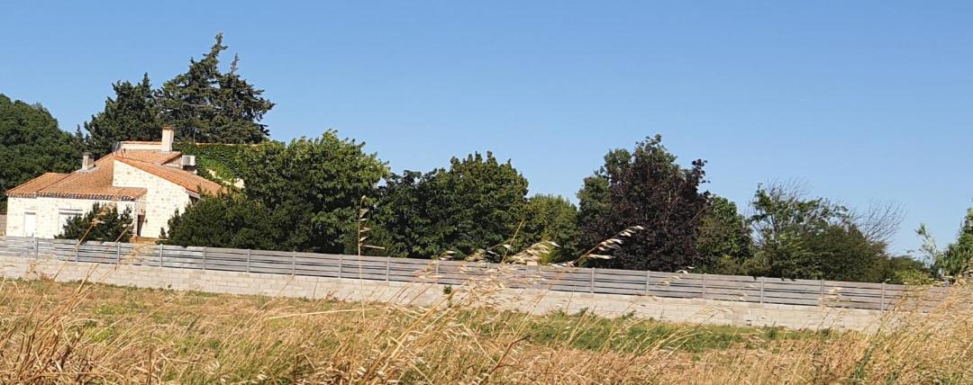 Photo of Others in Tarascon