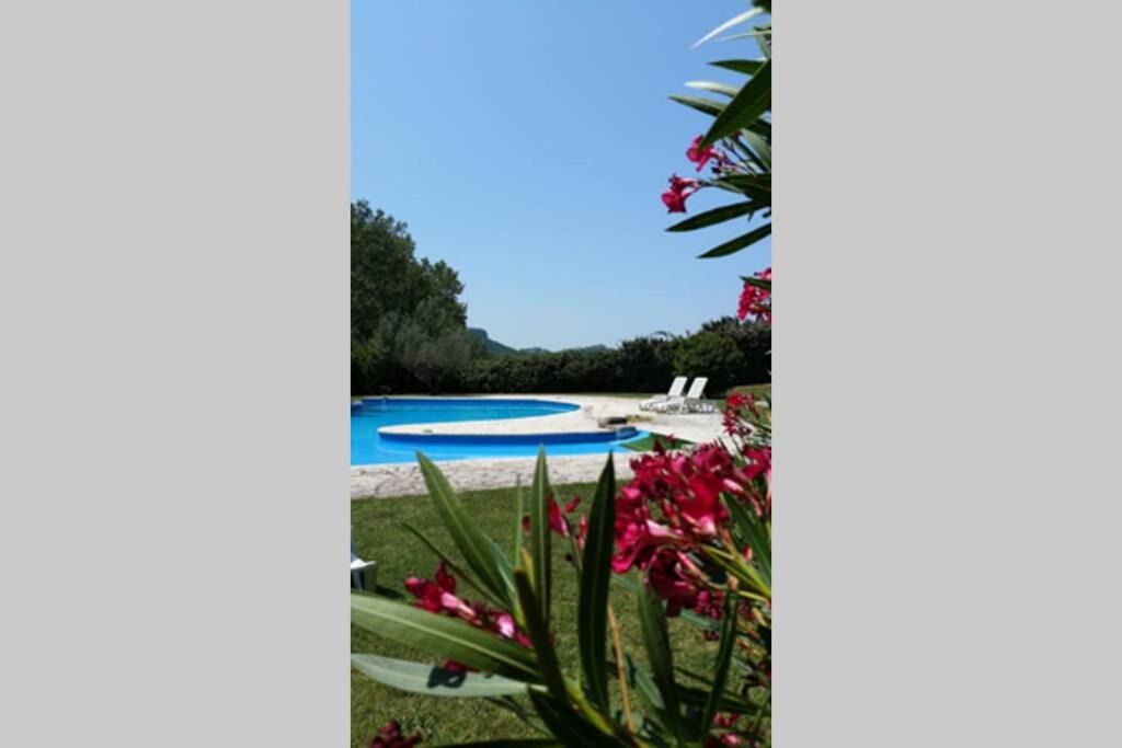 Photo of Others in Les Baux-de-Provence