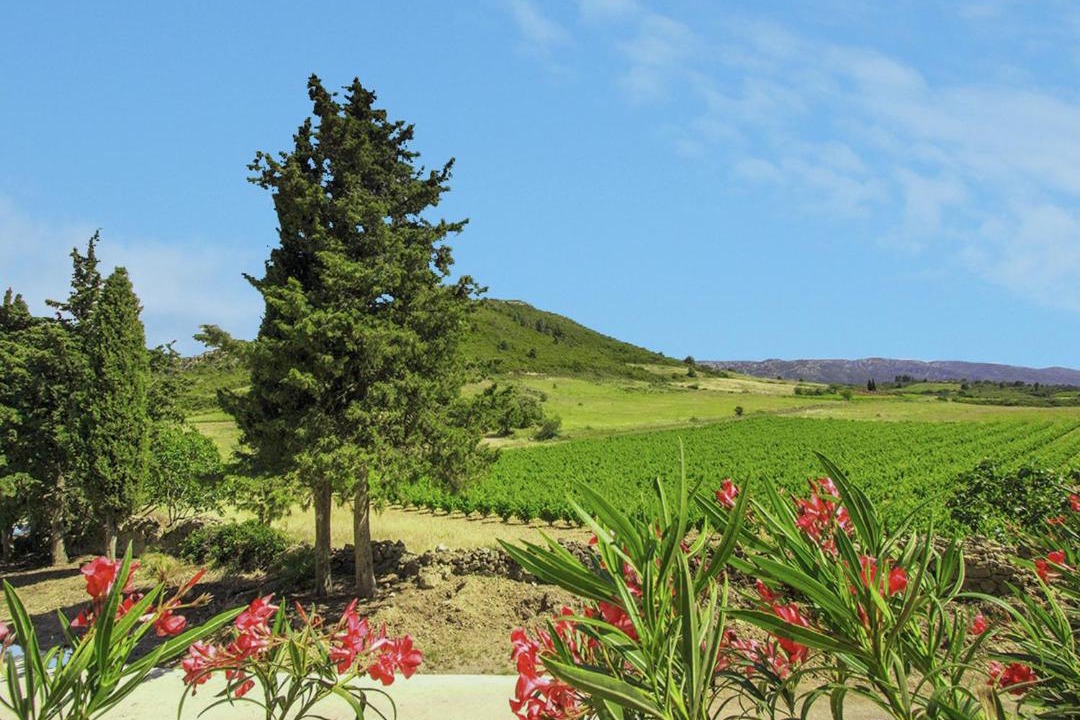 Photo of Others in Villeseque-des-Corbieres