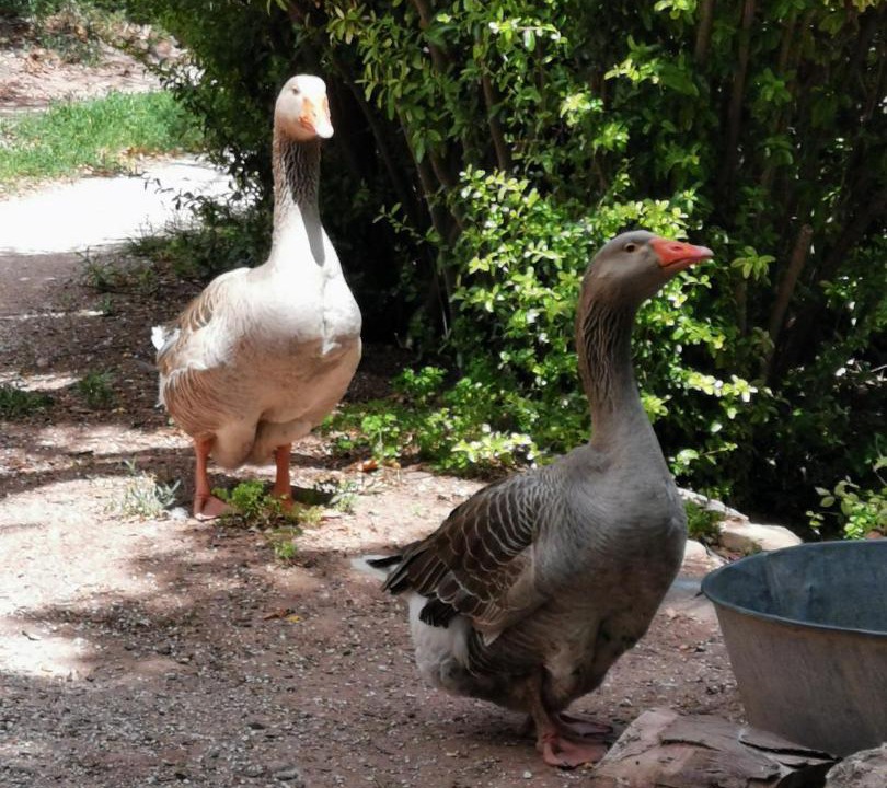 Photo of Others in Pierrefeu-du-Var