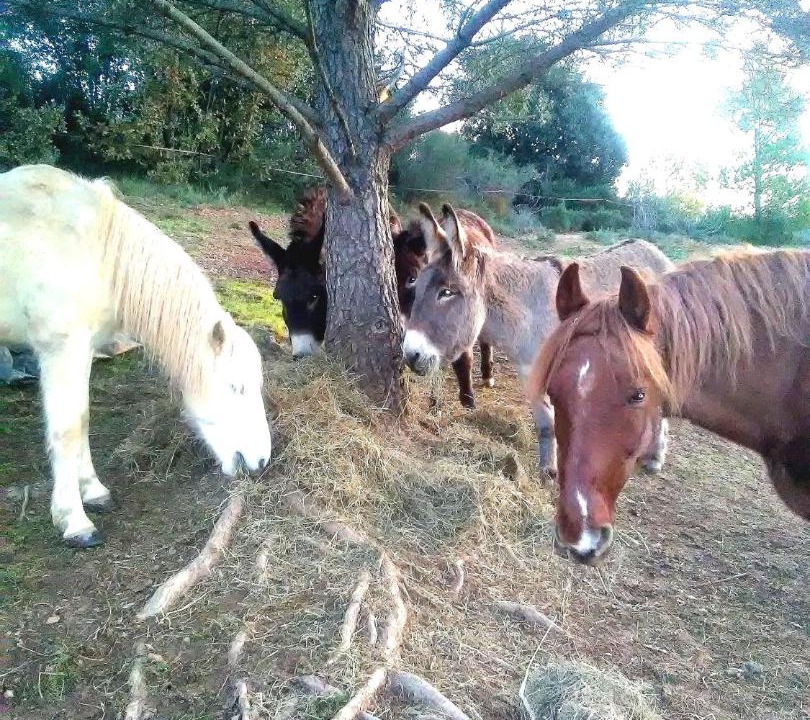 Photo of Others in Pierrefeu-du-Var