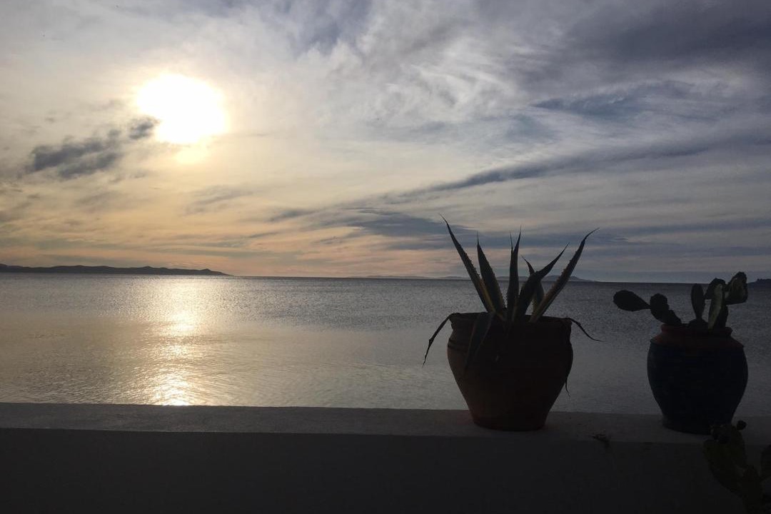 Photo of Others in Hyeres