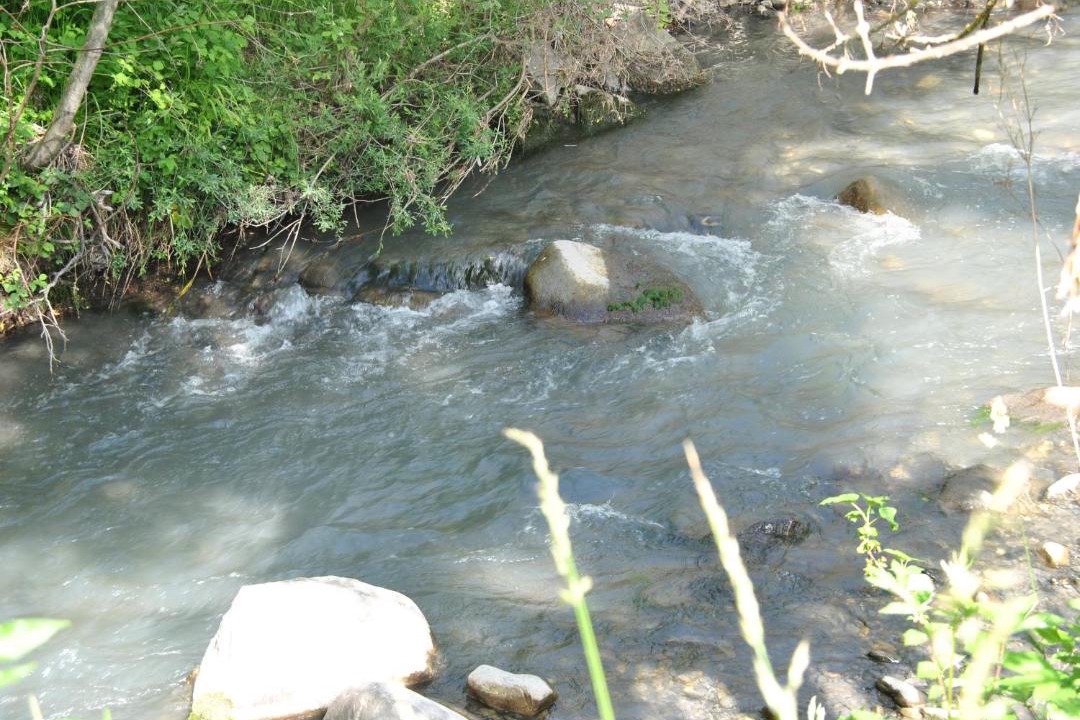Photo of Others in Selonnet