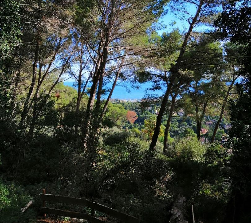 Photo of Others in Vallauris
