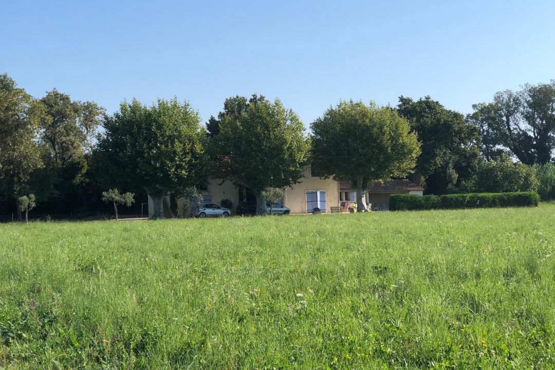 Photo of Others in Saint-Martin-de-Crau
