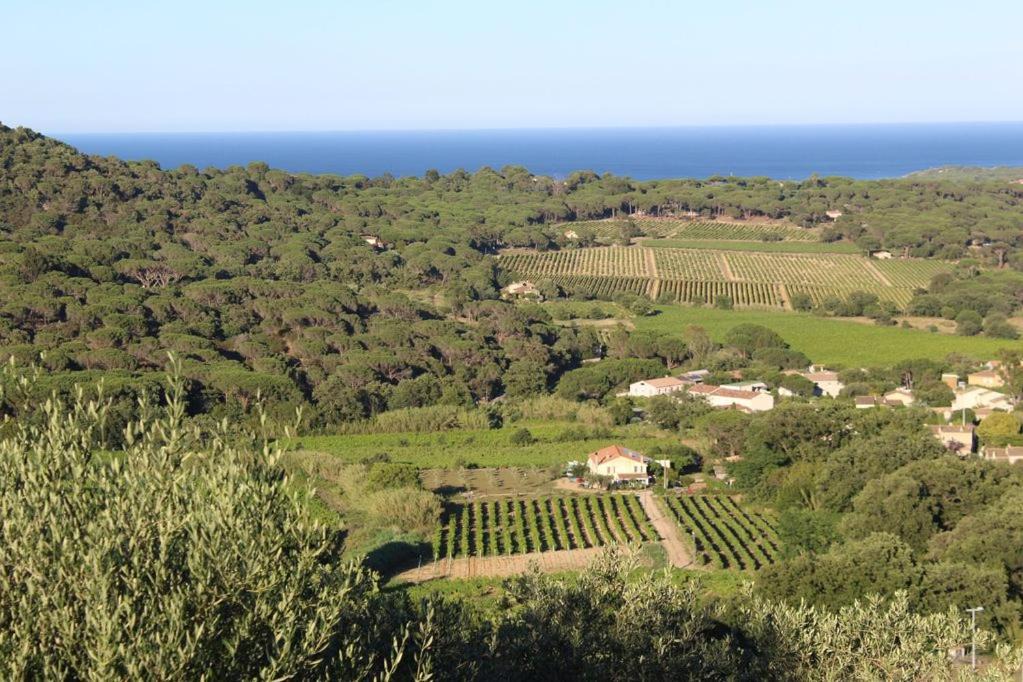 Photo of Others in La Croix-Valmer