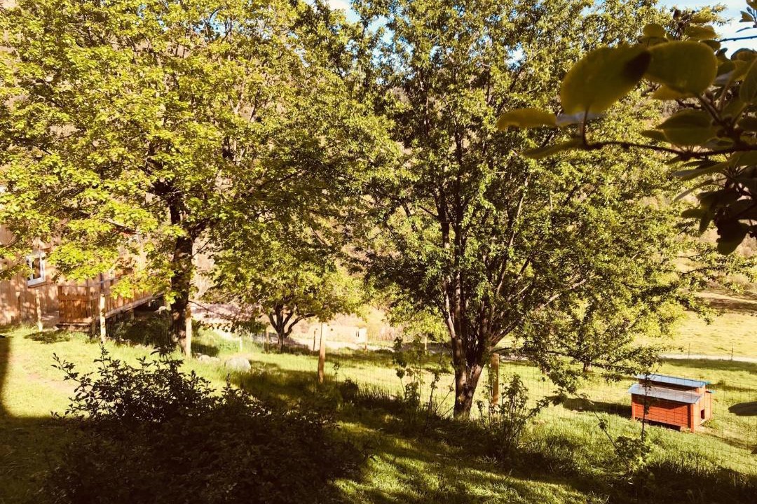 Photo of Others in La Robine-sur-Galabre