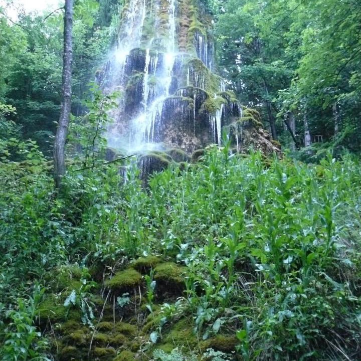 Photo of Others in Le Chaffaut-Saint-Jurson
