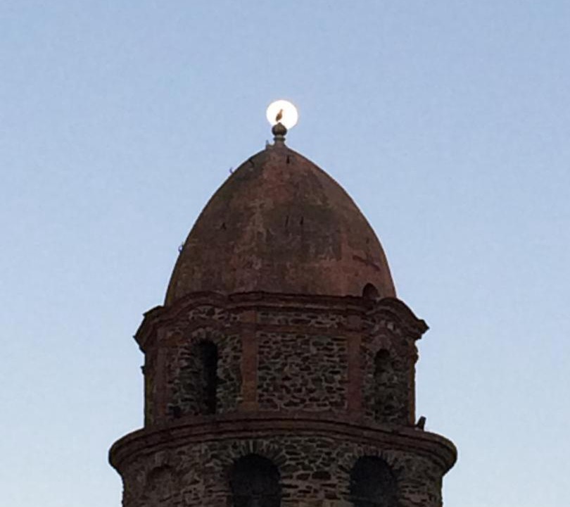 Photo of Others in Collioure