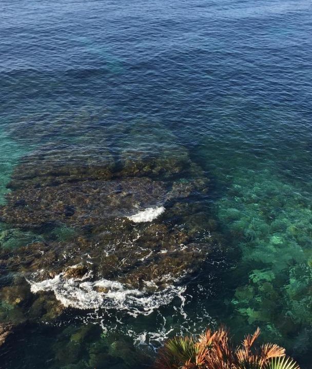 Photo of Others in Cap d'Ail