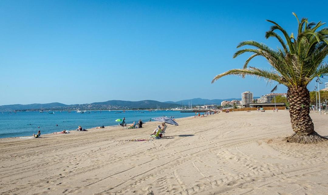 Photo of Others in Frejus Port