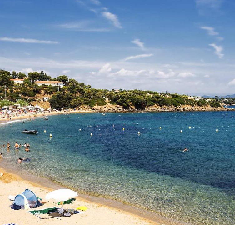 Photo of Others in Frejus Port