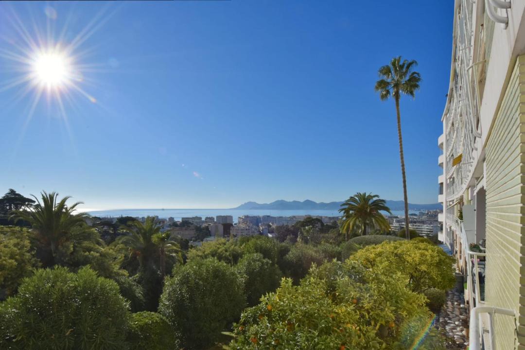 Photo of Others in California - Pezou