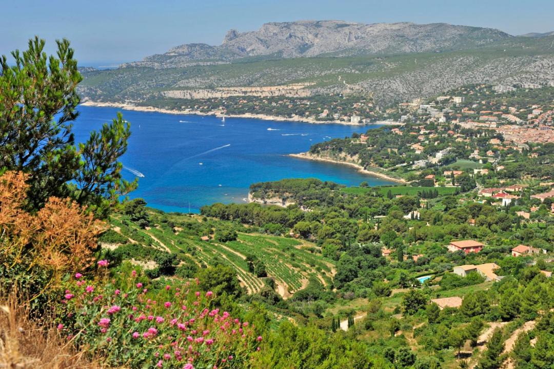 Photo of Others in Bandol