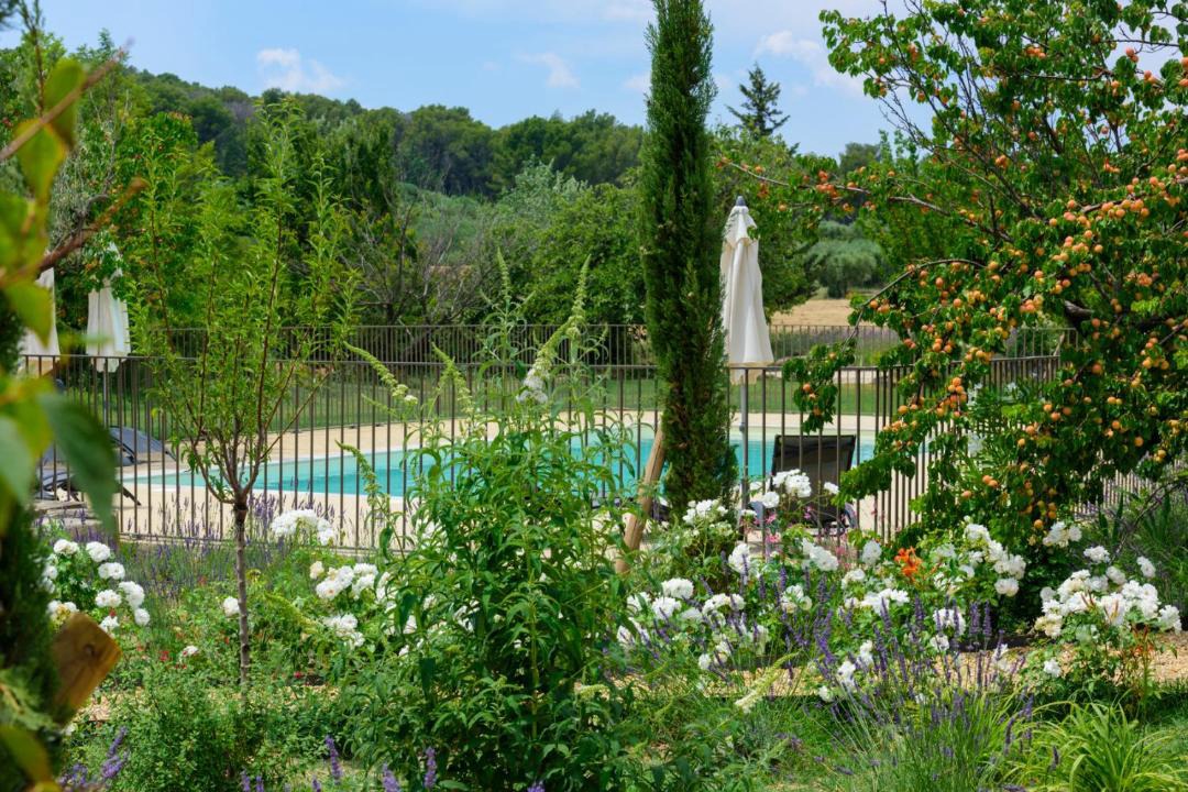 Photo of Others in Les Baux-de-Provence