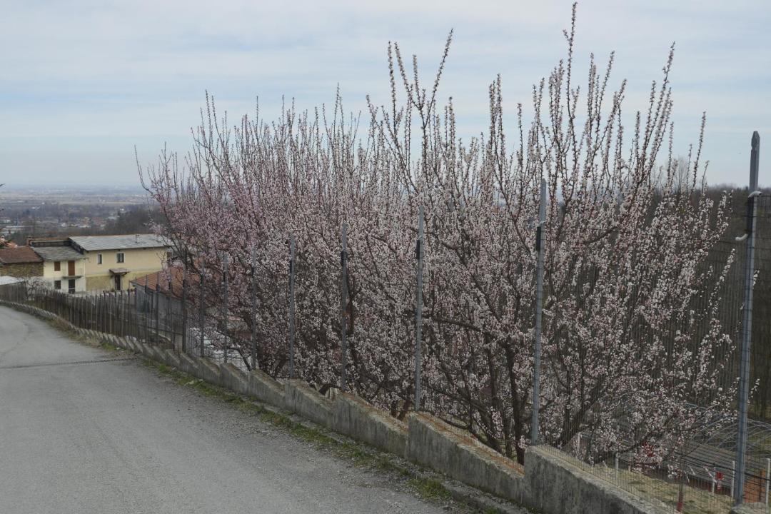 Photo of Others in Bagnolo Piemonte
