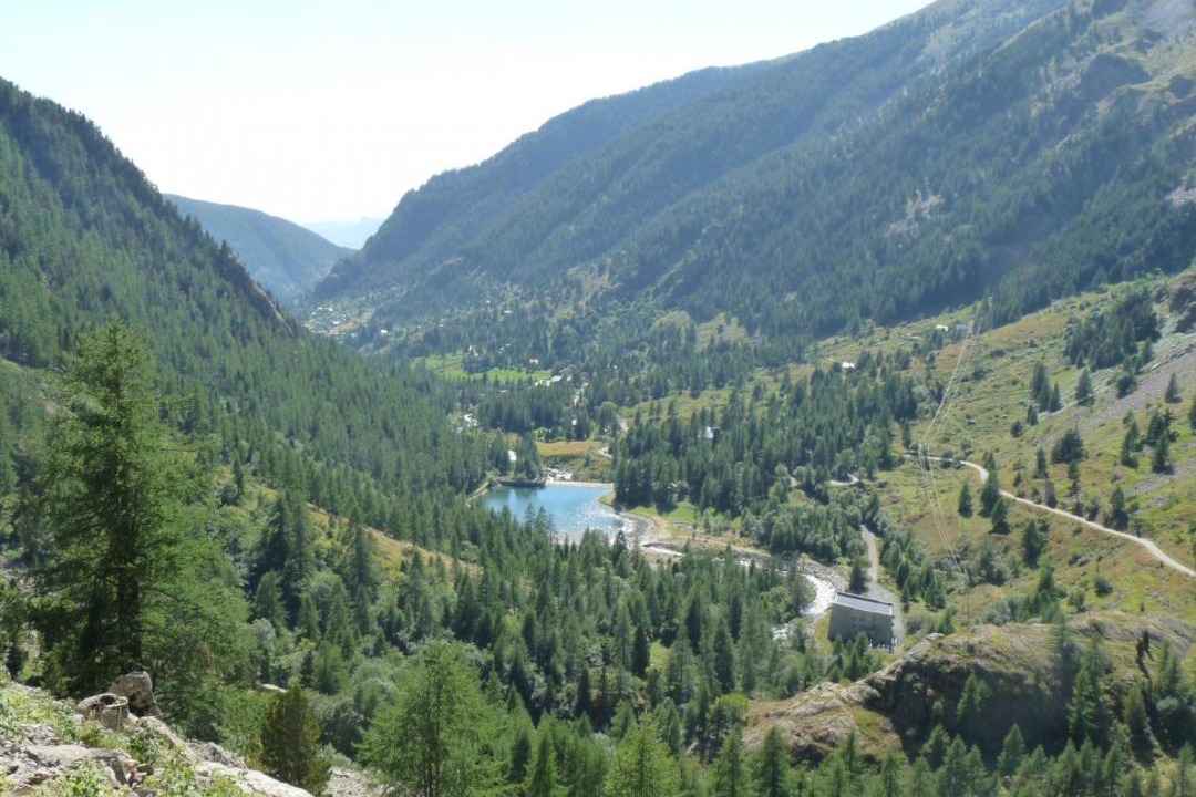 Photo of Others in Belvedere