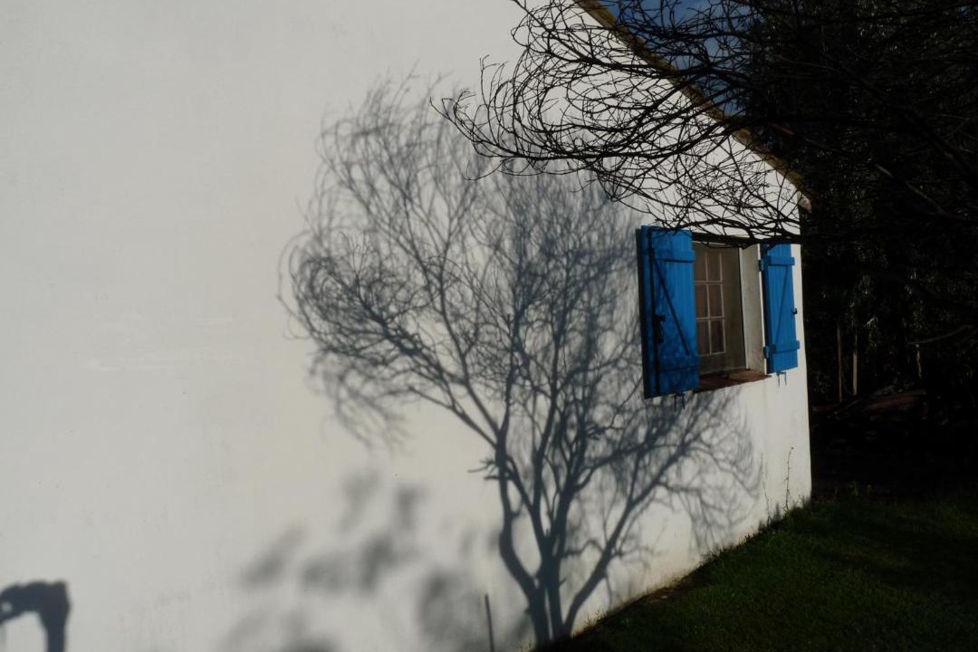 Photo of Others in Arles