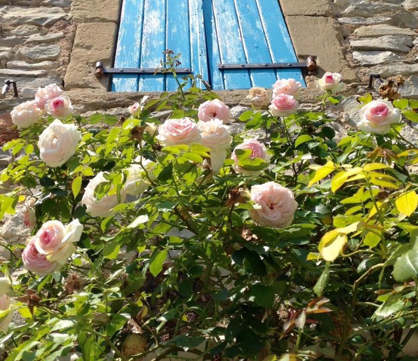 Photo of Others in Saint-Jean-de-Ceyrargues