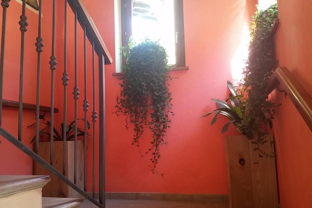 Photo of Others in Limone Piemonte