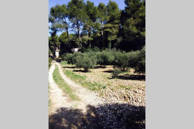 Photo of Others in Cheval-Blanc