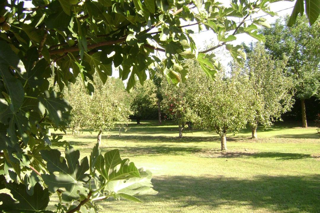 Photo of Others in Saint-Andiol