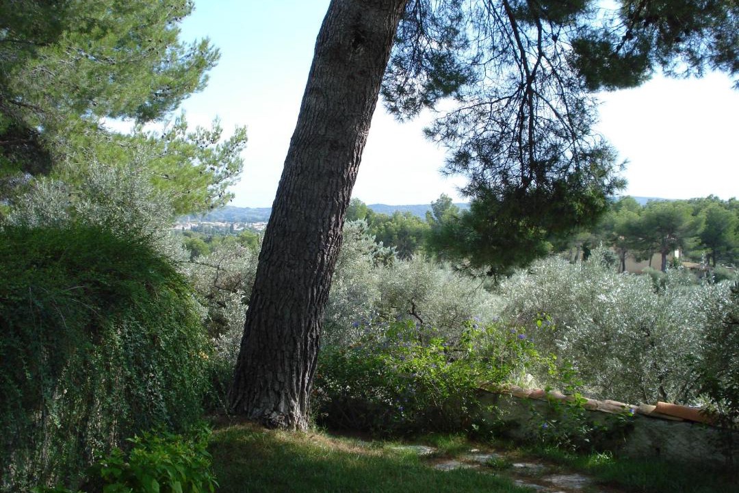Photo of Others in Mouries
