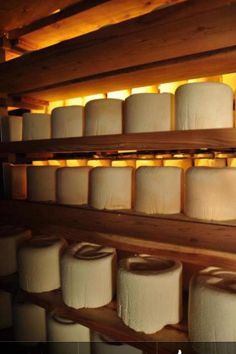 Photo of Others in Castelmagno