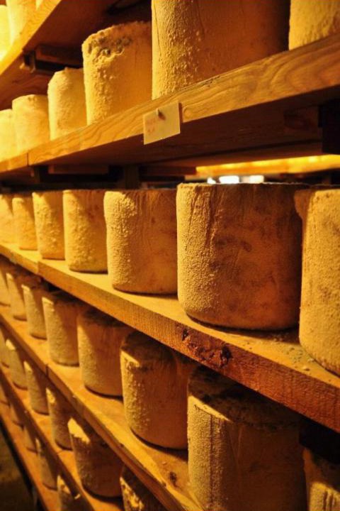 Photo of Others in Castelmagno