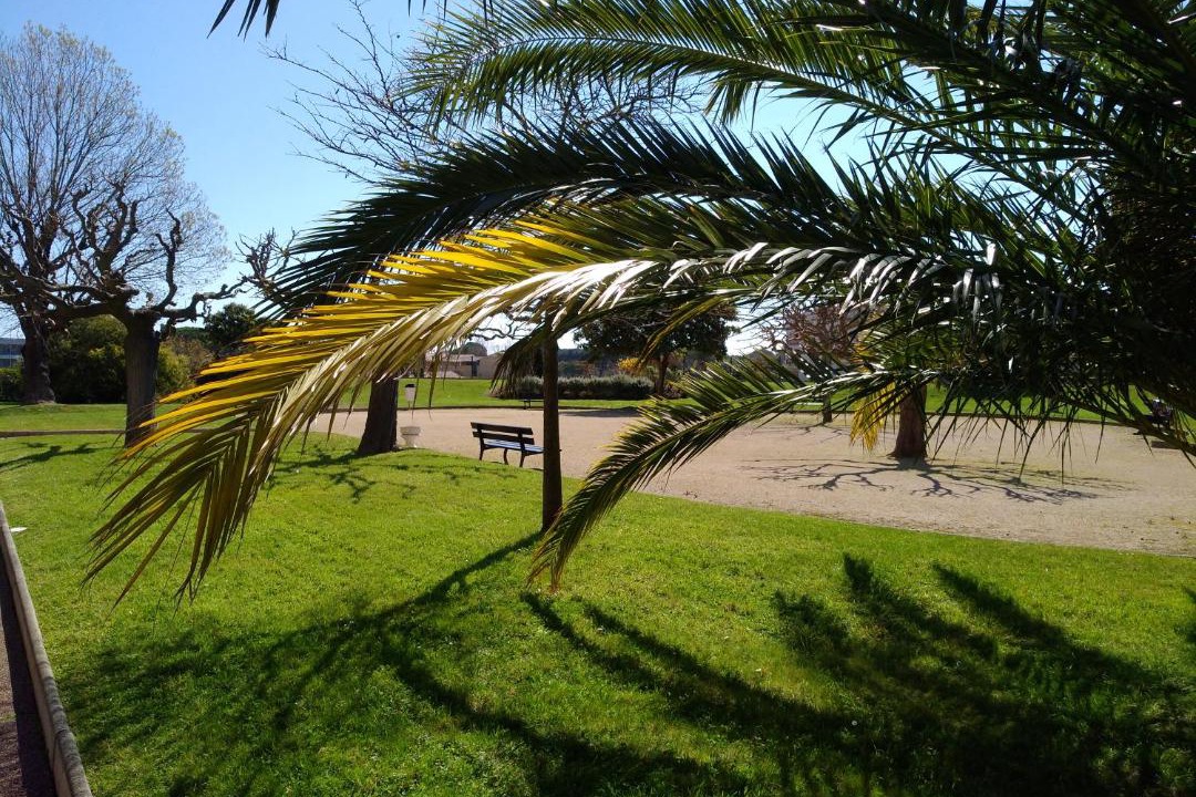 Photo of Others in Mandelieu-La-Napoule