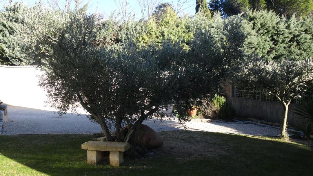 Photo of Others in Eyguieres