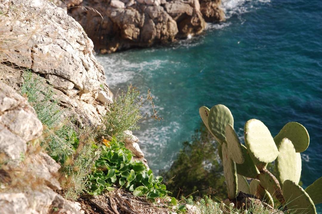Photo of Others in Cap d'Ail