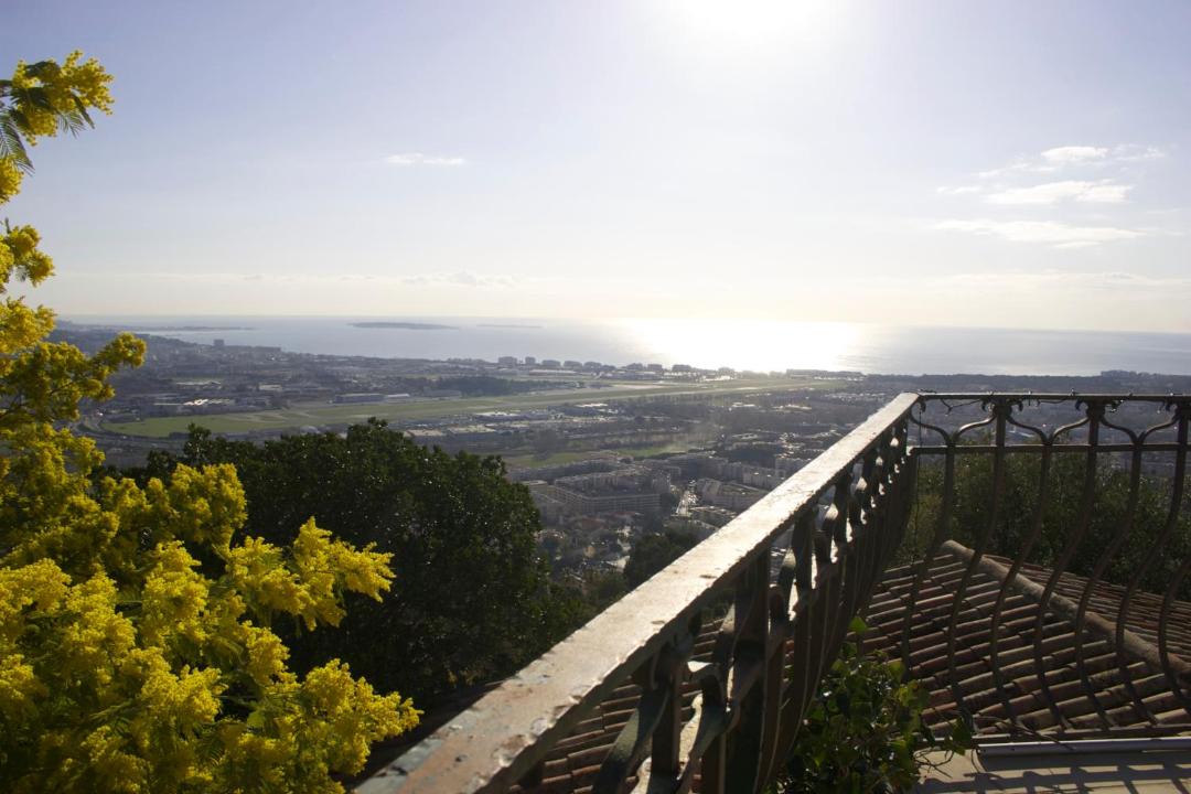 Photo of Others in Mandelieu-La-Napoule