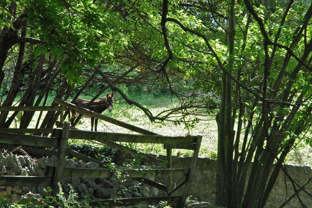 Photo of Others in Le Plan-de-Grasse