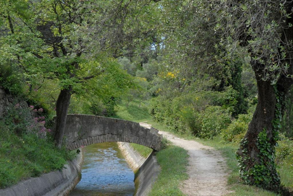 Photo of Others in Le Plan-de-Grasse