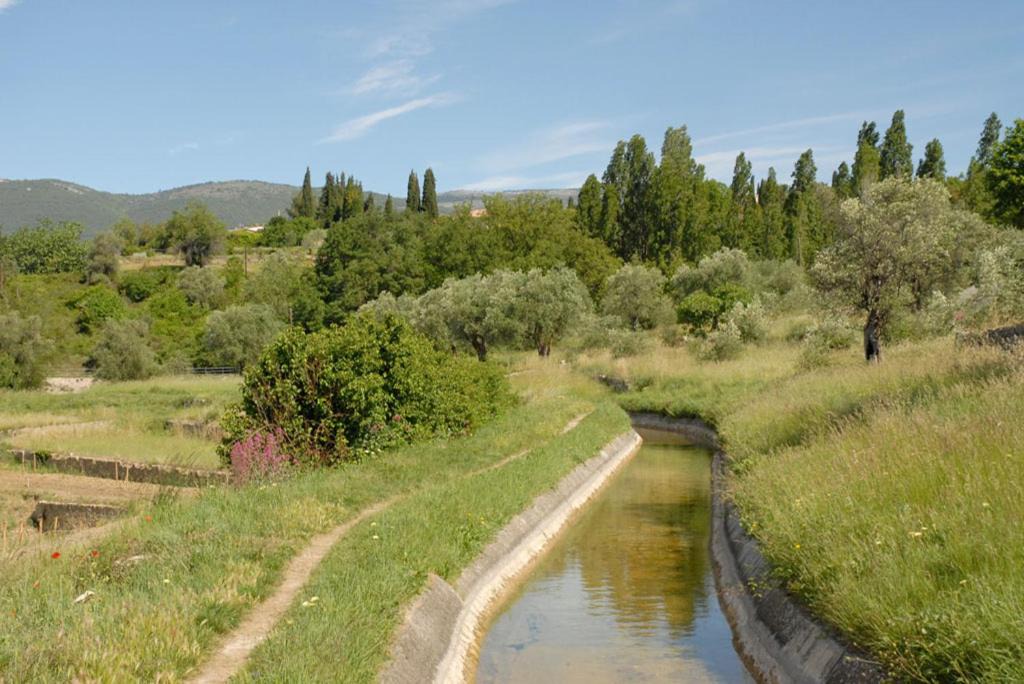 Photo of Others in Le Plan-de-Grasse