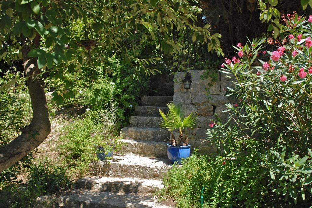 Photo of Others in Le Plan-de-Grasse